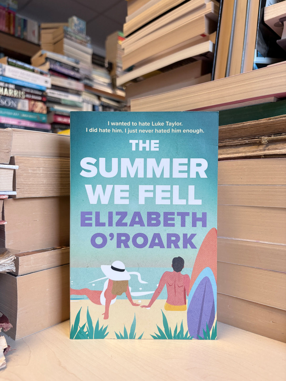 Elizabeth O'Roark - The Summer We Fell