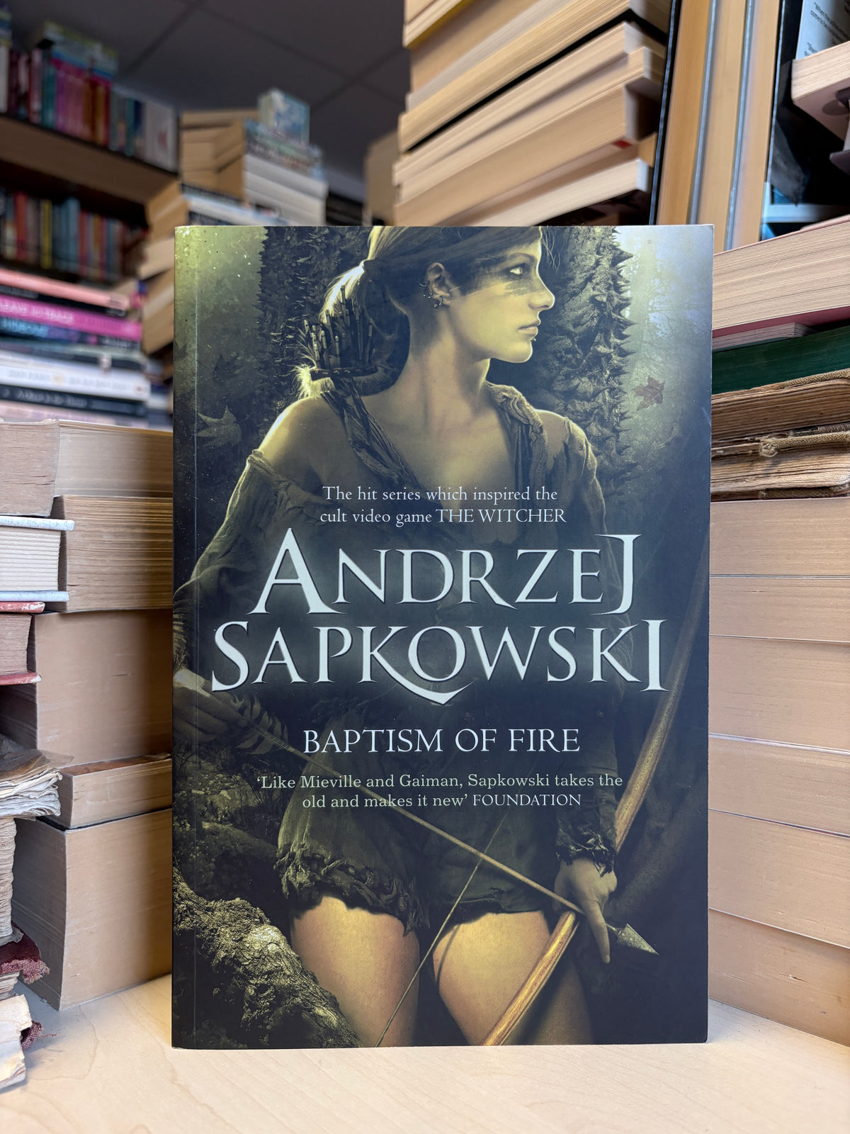 Andrzej Sapkowski - The Witcher: Baptism of Fire