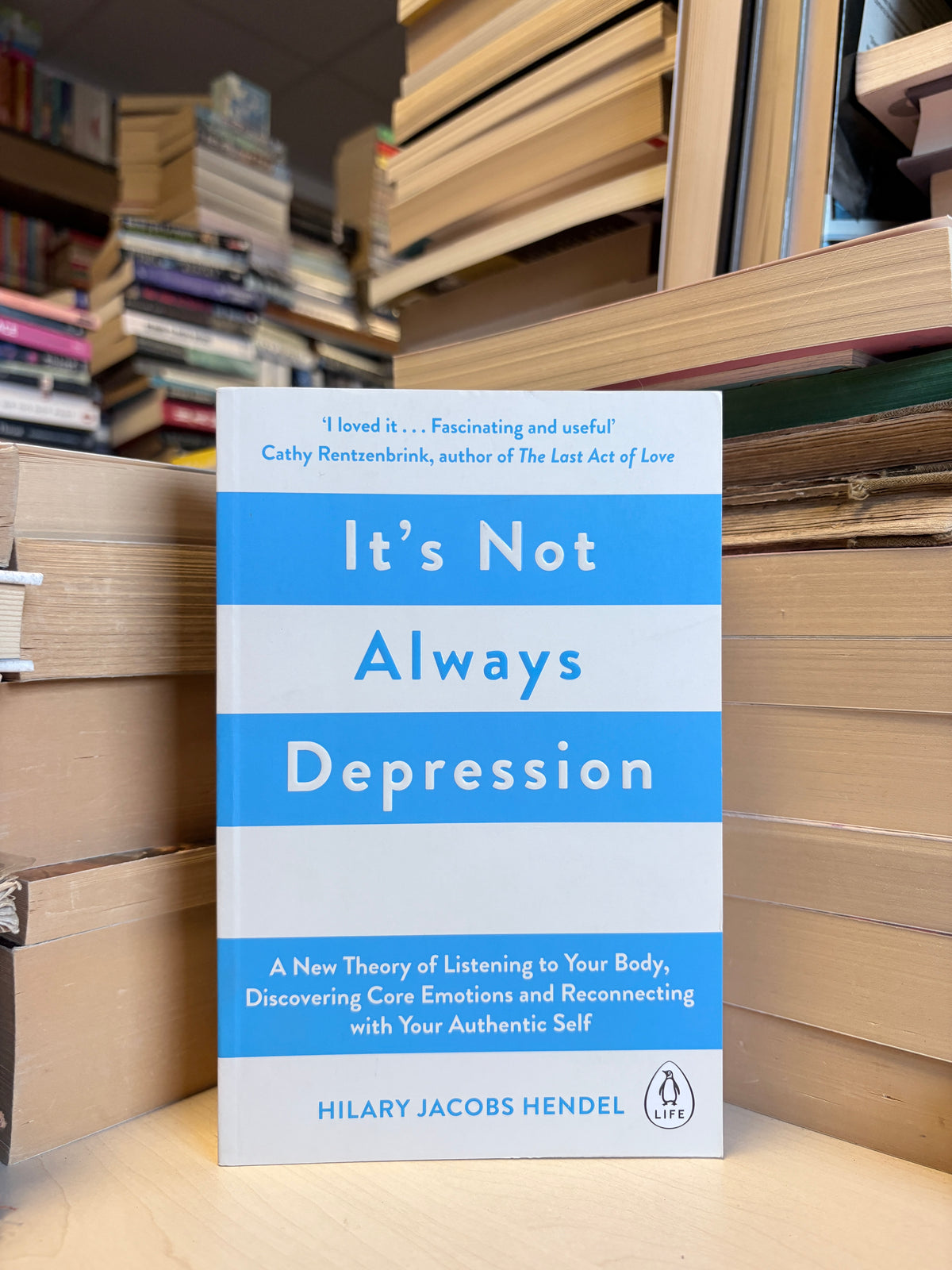 Hilary Jacobs Hendel - It's Not Always Depression