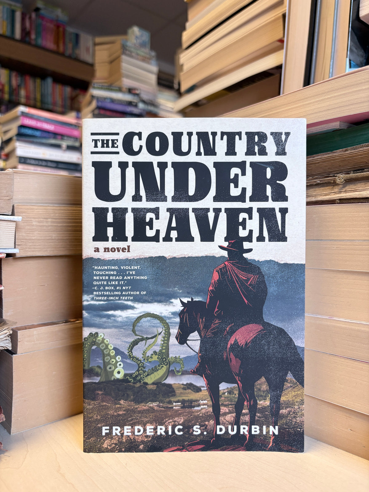 Frederic S. Durbin - The Country Under Heaven
