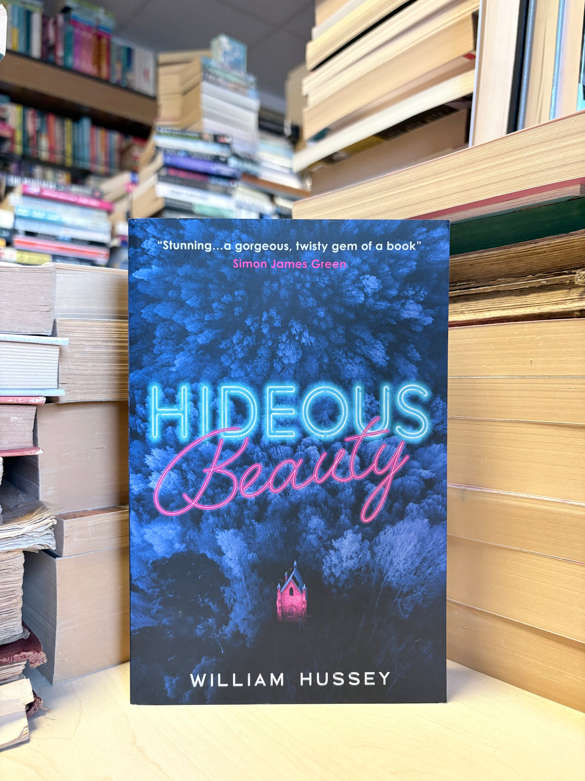 William Hussey - Hideous Beauty