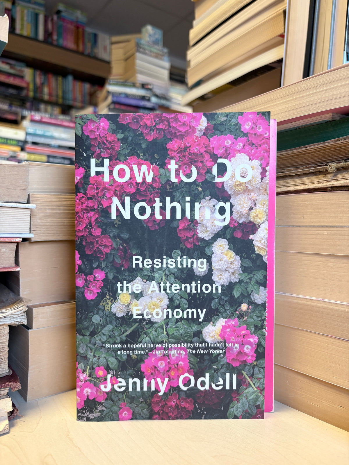 Jenny Odell - How to Do Nothing: Resisiting the Attention Economy