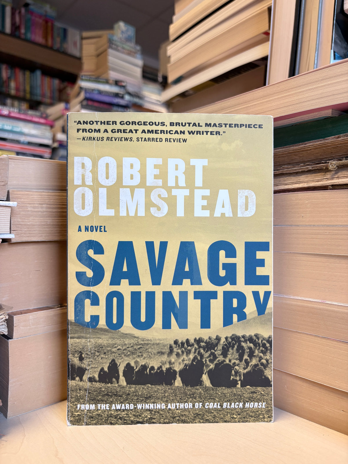 Robert Olmstead - Savage Country