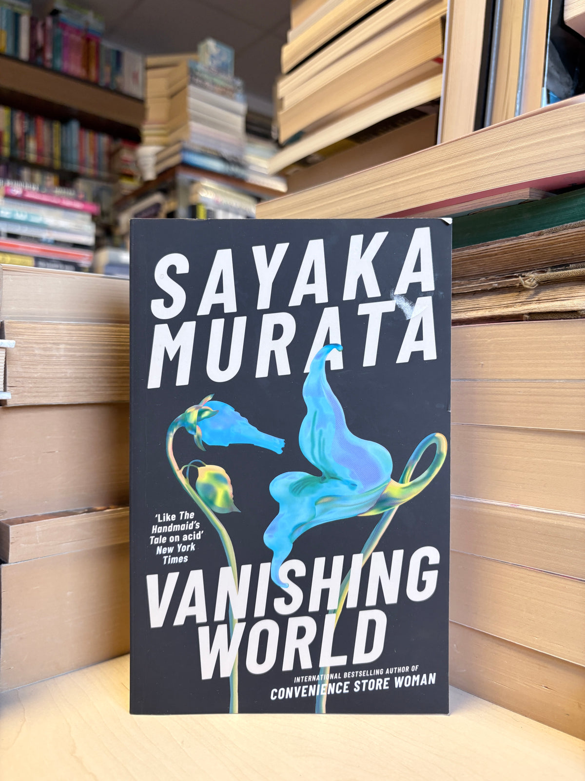 Sayaka Murata - Vanishing World