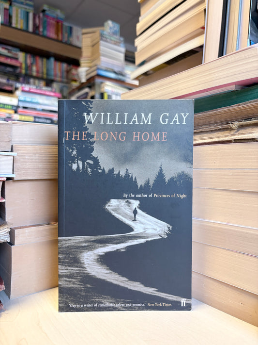 William Gay - The Long Home