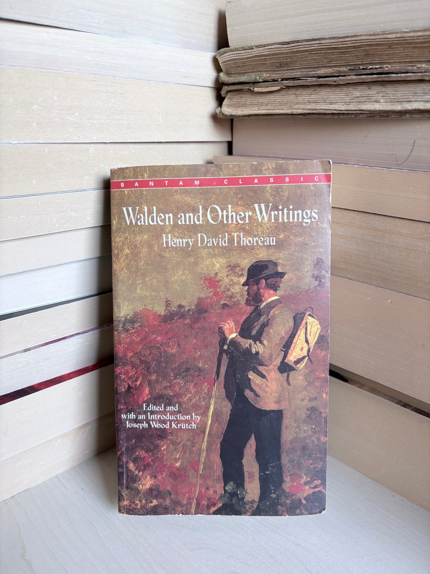 Henry David Thoreau - Walden and Other Writings
