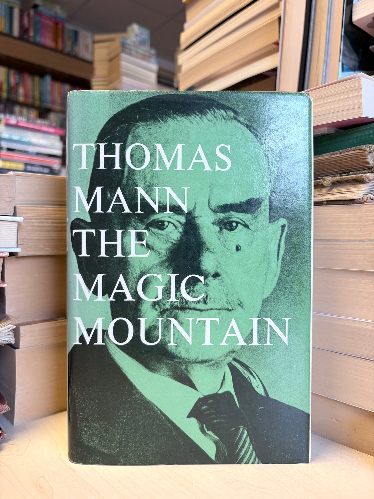 Thomas Mann - The Magic Mountain