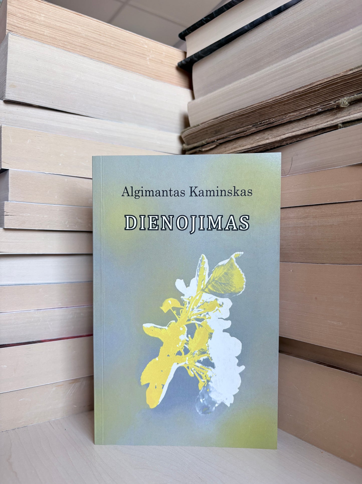 Algimantas Kaminskas - ,,Dienojimas"