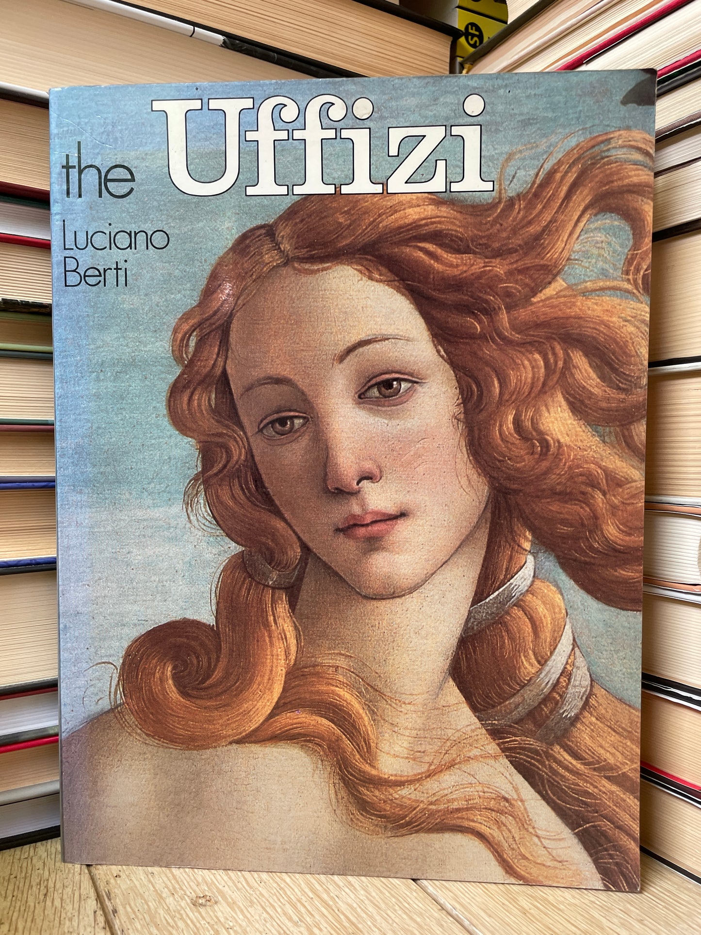 Luciano Berti - The Uffizi and the Vasari Corridor