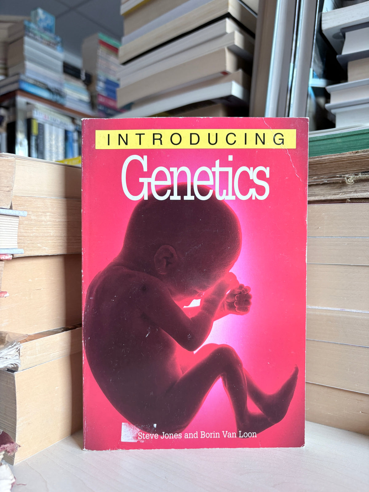 Steve Jones, Borin Van Loon - Introducing Genetics
