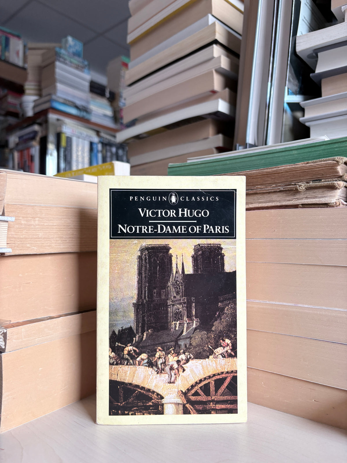 Victor Hugo - Notre-Dame of Paris