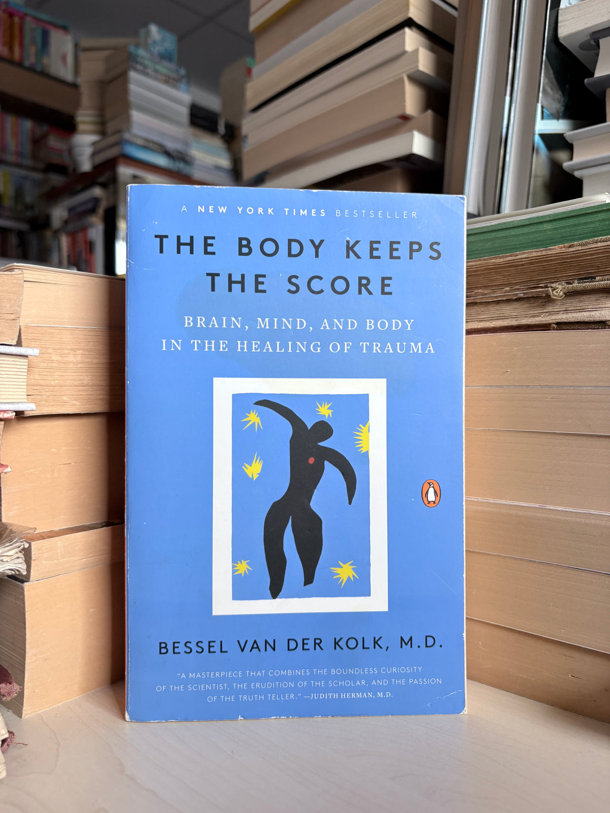 Bessel Van Der Kolk - The Body Keeps the Score