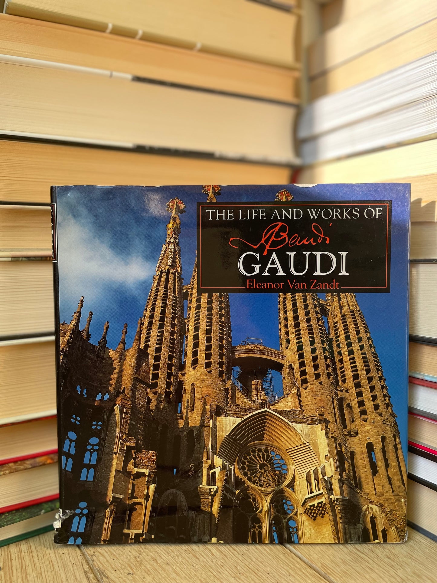 Eleanor Van Zandt - The Life and Works of Gaudi