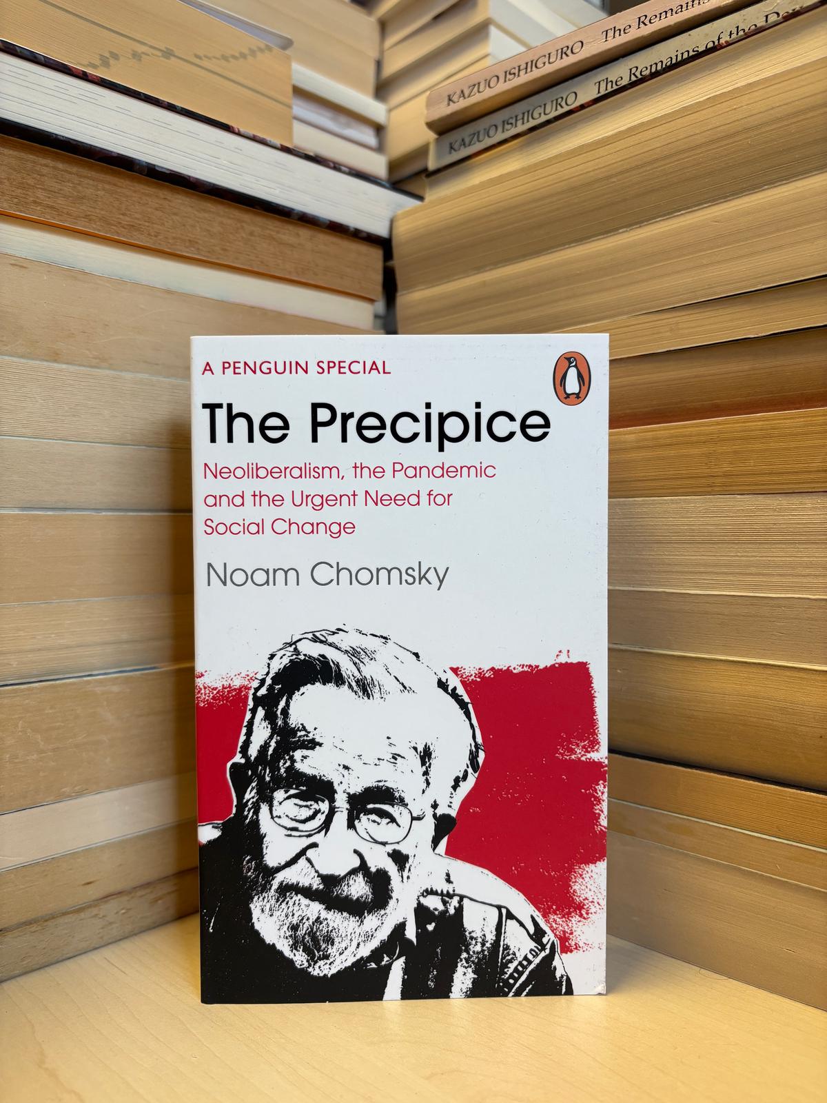 Noam Chomsky - The Precipice