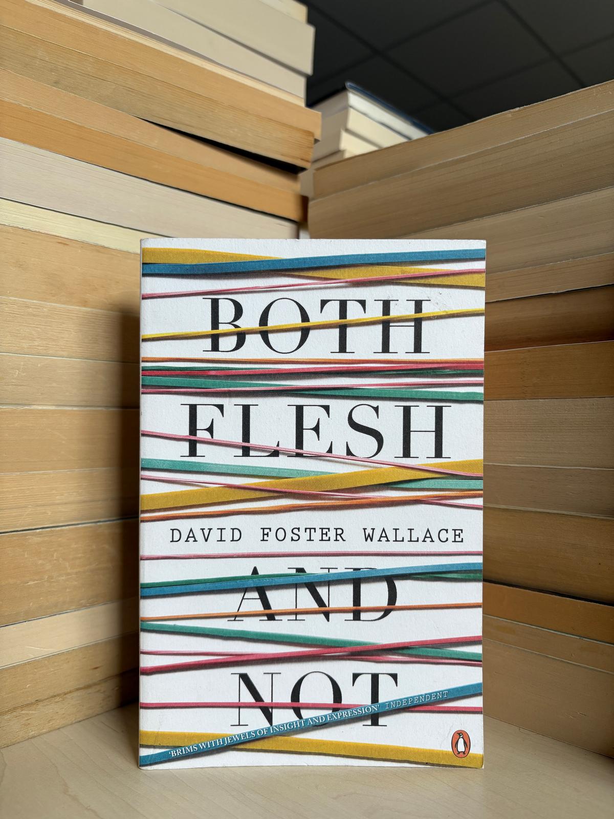 David Foster Wallace - Both Flesh And Not