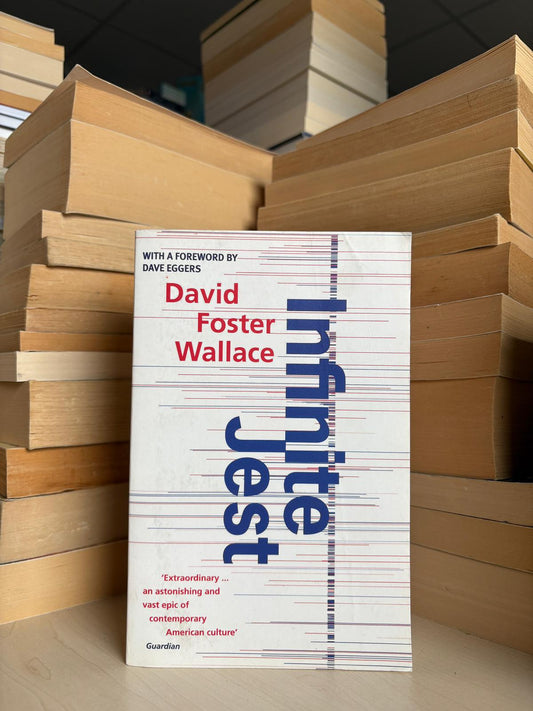 David Foster Wallace - Infinite Jest