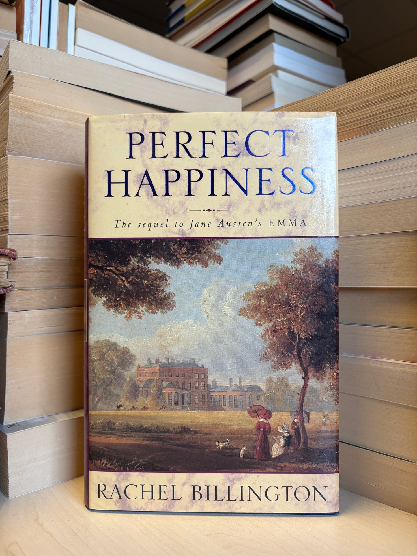 Rachel Billington - Perfect Happiness