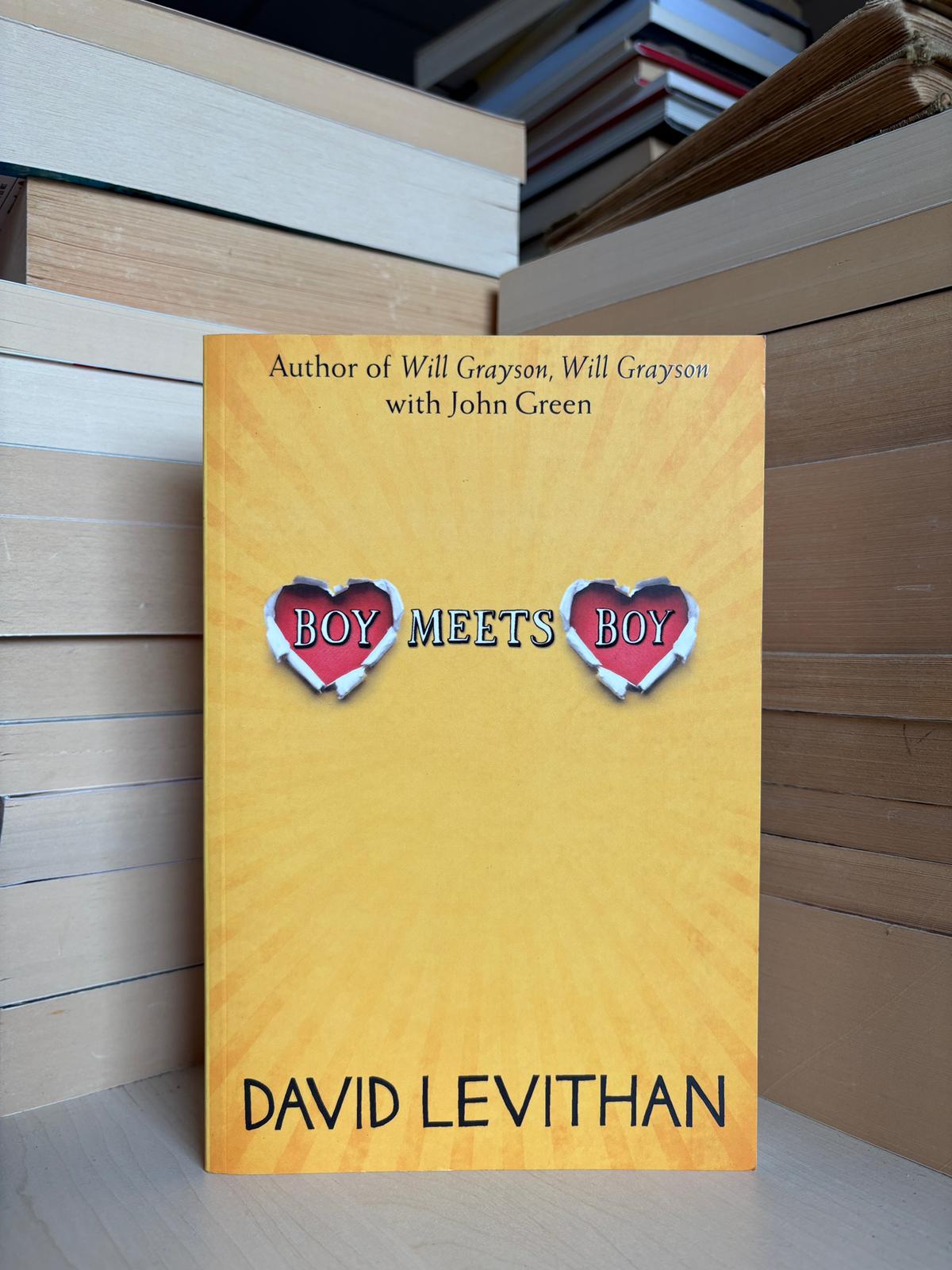 David Levithan - Boy Meets Boy