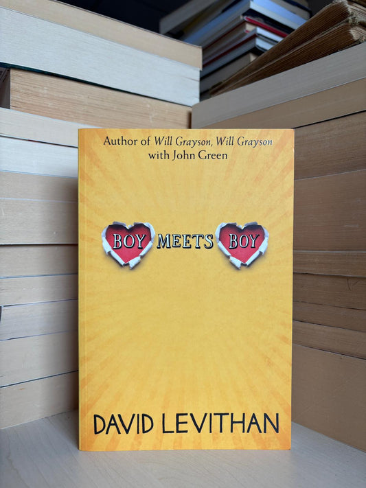 David Levithan - Boy Meets Boy