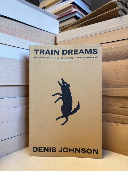 Denis Johnson - Train Dreams