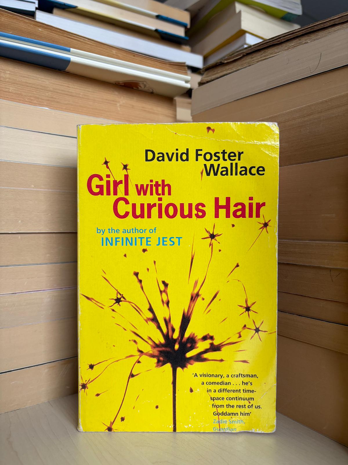 David Foster Wallace - Girl with Curious Hair