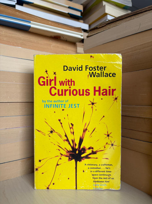 David Foster Wallace - Girl with Curious Hair