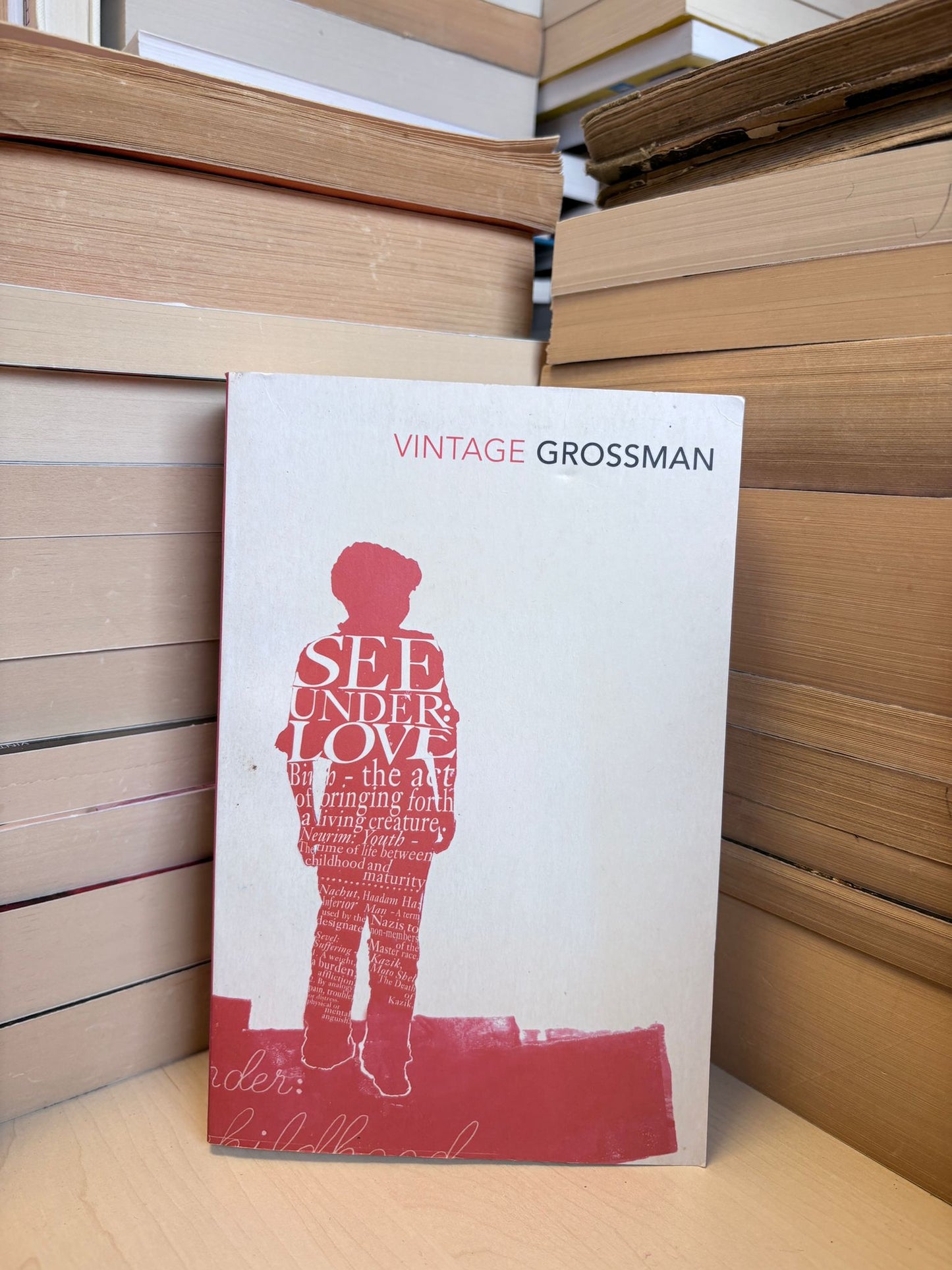 David Grossman - See Under: Love