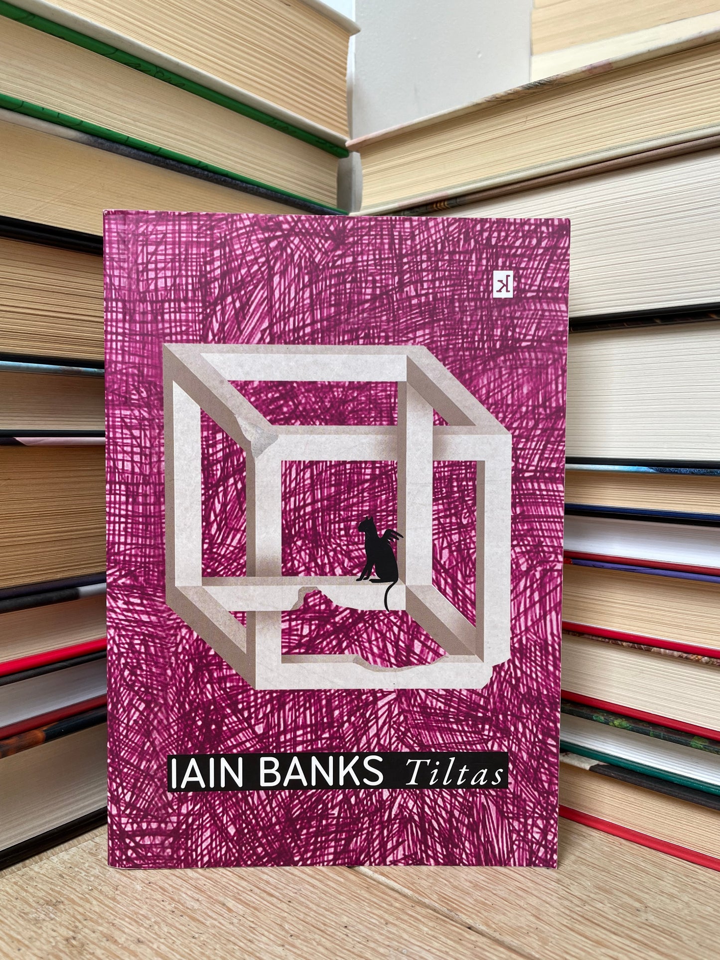 Iain Banks - ,,Tiltas"