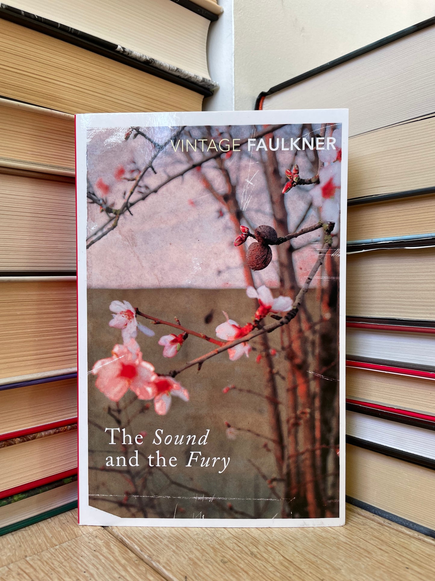 William Faulkner - The Sound and the Fury (NAUJA)