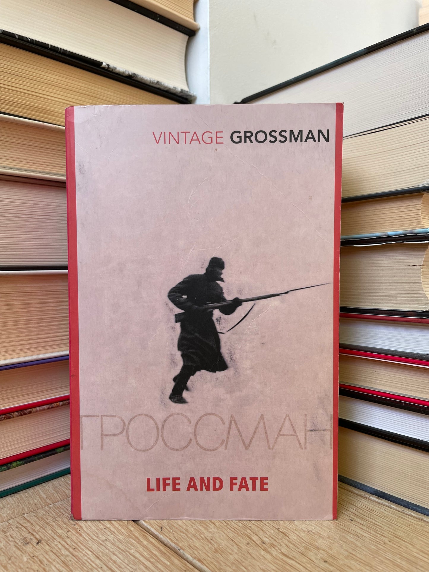 Vasily Grossman - Life and Fate