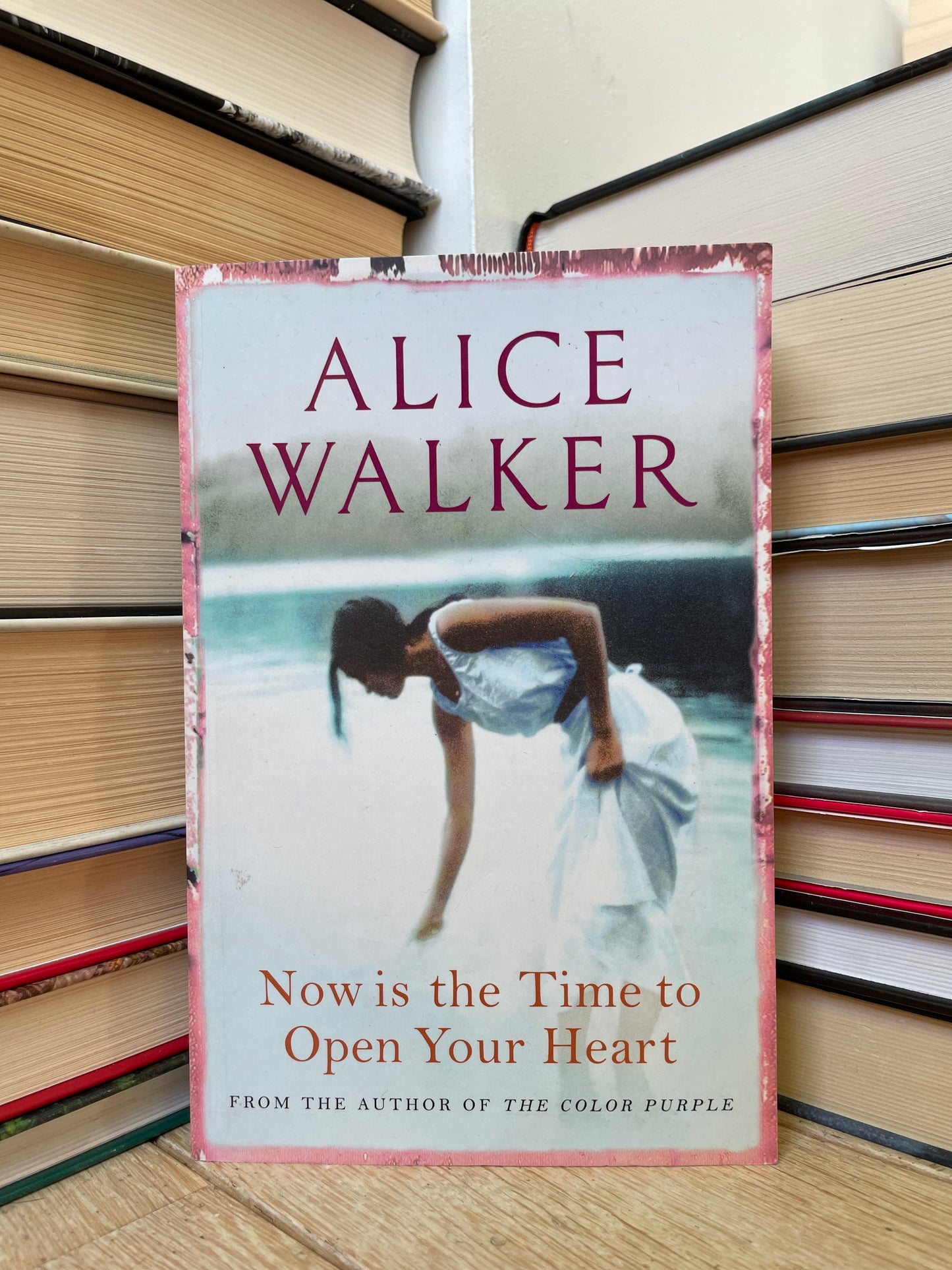 Alice Walker - Now is the Time to Open Your Heart