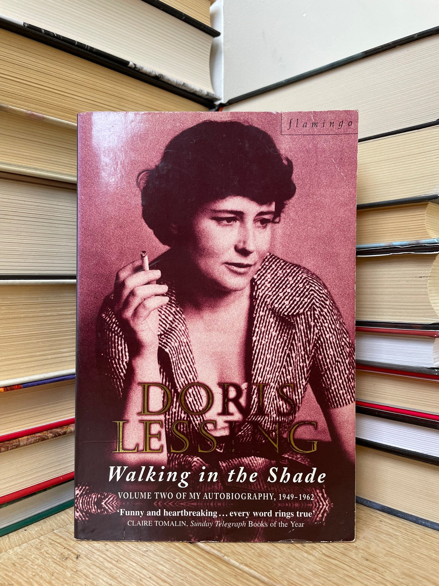 Doris Lessing - Walking in the Shade. Volume two of My Autobiography